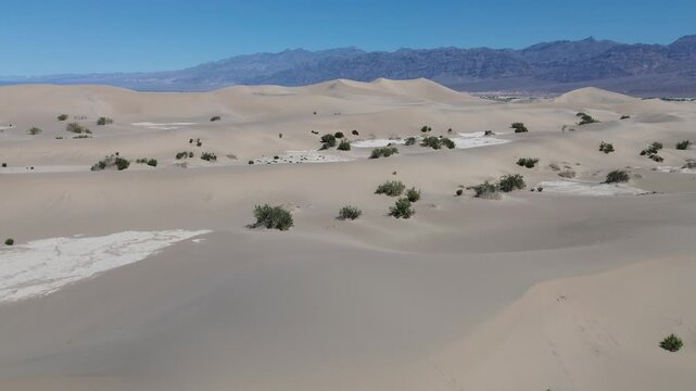 Sand dunes and salt - Mesquite Flat Sand Dunes - Death Valley NP, California