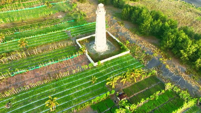 Drone view of lighthouse foot and farm rows