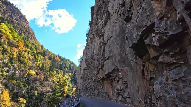 Driving through the Selva de Oza forest in Valley of Hecho, green broad-leaf and coniferous mixed forest. Occidental Valleys Natural Park, Aragonese Pyrenees, Huesca Province, Spain