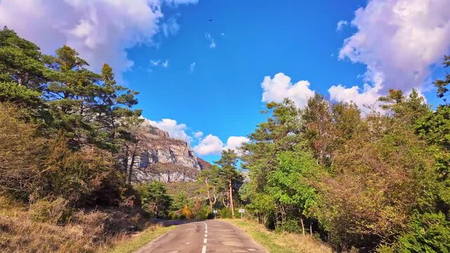 Driving through the Selva de Oza forest in Valley of Hecho, green broad-leaf and coniferous mixed forest. Occidental Valleys Natural Park, Aragonese Pyrenees, Huesca Province, Spain