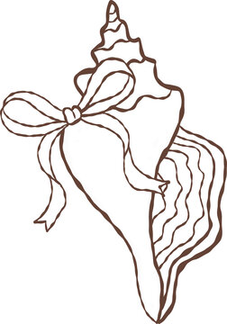 Cute hand drawn triton shell with ribbon bow outline illustration