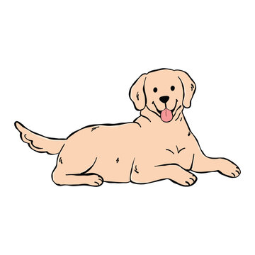 A Labrador Retriever dog illustration lying down, isolated on a white background