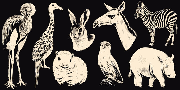 vector illustration of vintage style animals on black background