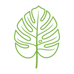 Monstera Deliciosa Leaf Hand Drawn Minimalist Green Line Art Icon Isolated on White Background © MOSTMAKSUDA
