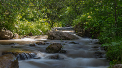 Landscape, mountain, river, stream, green, trees, forest, flowing,  © KAIRZHAN