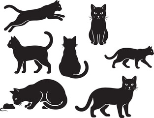 cat © buobo