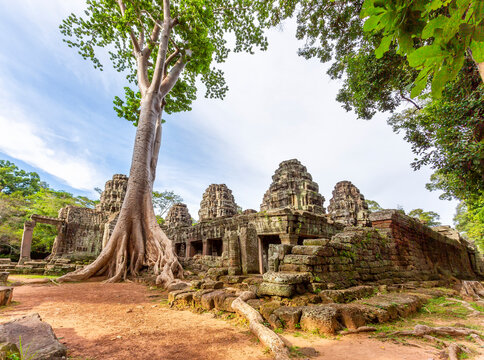 Ta Prohm Temple at Angkor, Cambodia