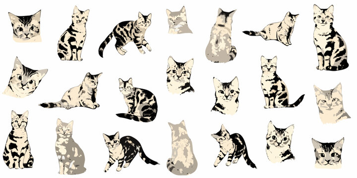vector illustration set of twenty four cats in various poses
