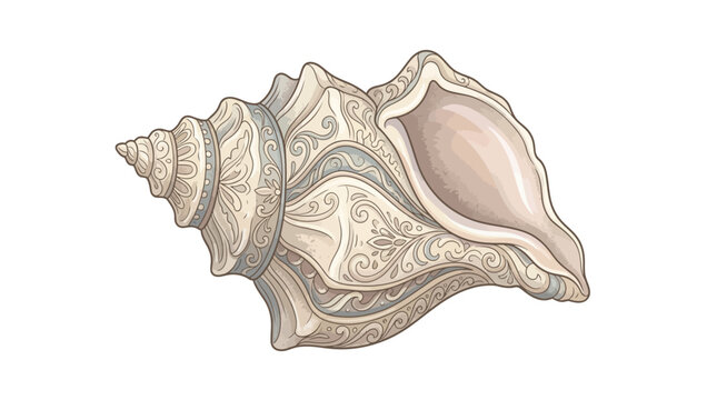 Large seashell with spiral design.