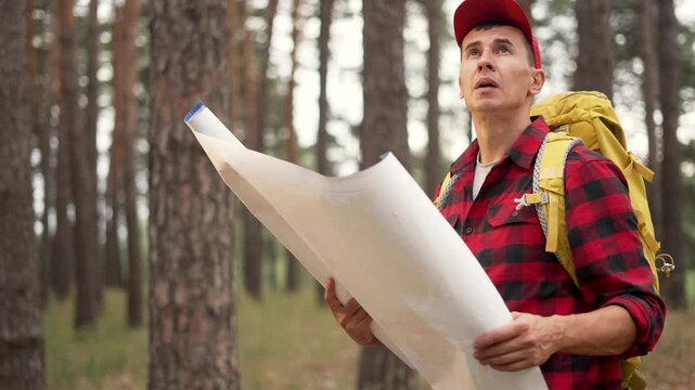 Hiker reading map in pine forest. Man with backpack navigates trail among tall tree trunk. Traveler studies route in woodland. Backpacker explores nature path. Hiker looks around forest for direction.
