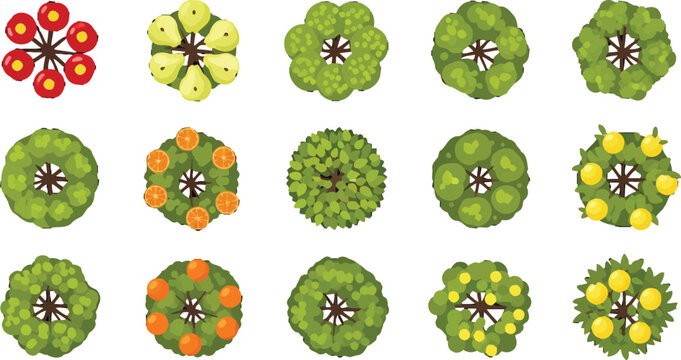 Set of various trees and fruit trees top view for landscape design and architectural site plans vector