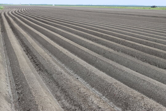Ridges and furrows in a ploughed field