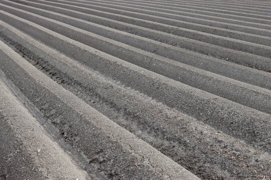 Ridges and furrows in a ploughed field