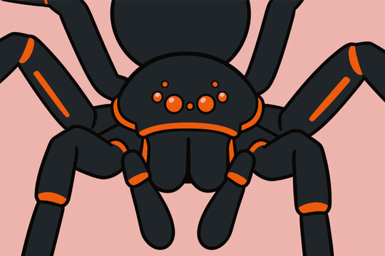 Cute Cartoon Tarantula Spider Close Up Illustration