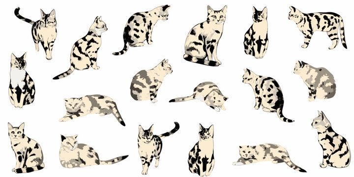 Vector illustration set of twenty four cats in various poses