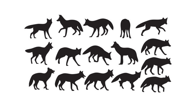 Set of wild fox silhouettes in various poses and movements captured from different angles for natural wildlife graphics.