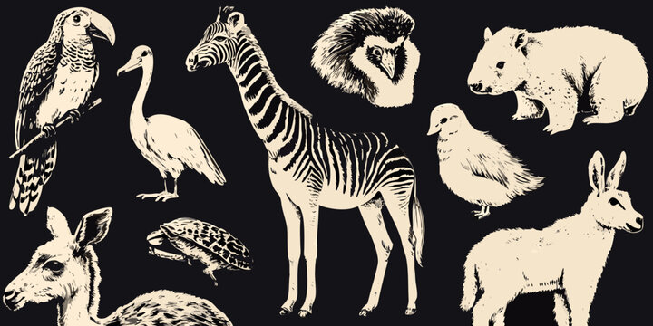 vector illustration of vintage style animal collection on black