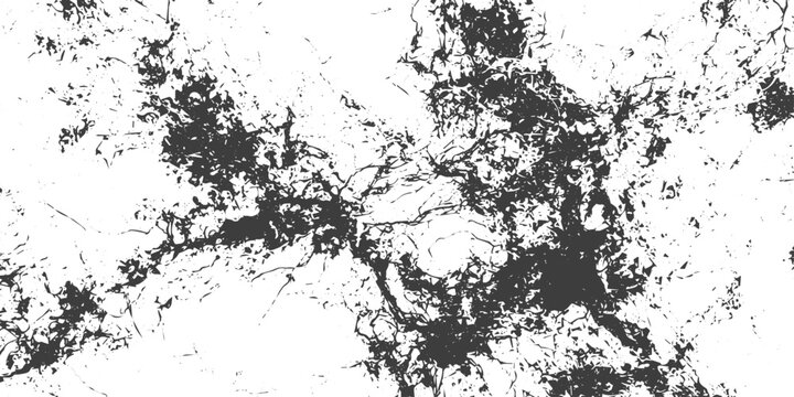Black and White Grunge Abstract Texture Vector Distressed Splatter and Crack Pattern Background