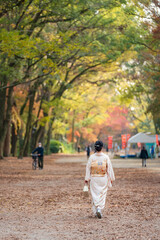 Fototapeta premium Japanese Female Kimono Portrait photography. Kyoto in autumn season. Japan Fall foliage.