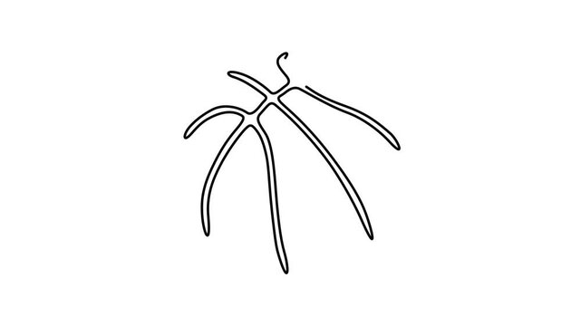 One Line Illustration &ndash; Basketball Ball