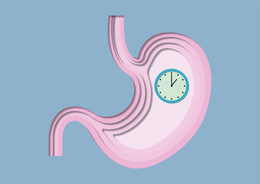 Digestion, conceptual illustration