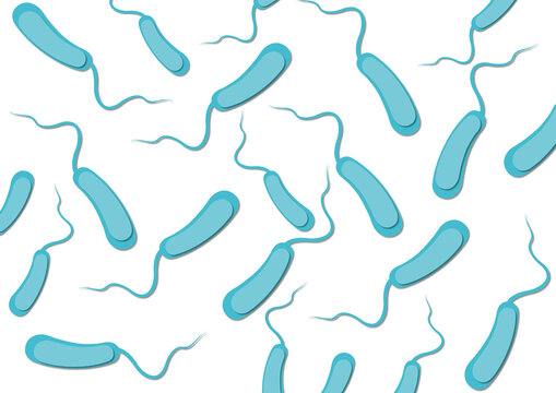 Cholera bacterium, conceptual illustration