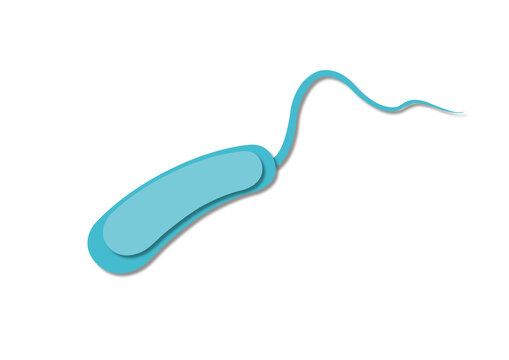 Cholera bacteria, conceptual illustration