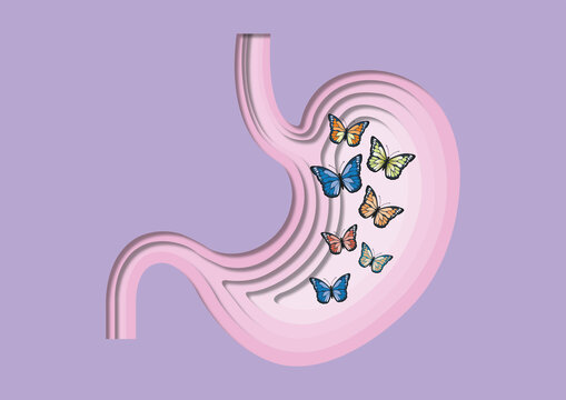 Butterflies in the stomach, conceptual illustration