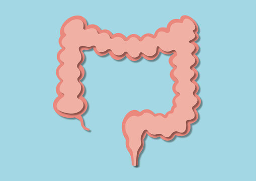 Healthy colon, conceptual illustration