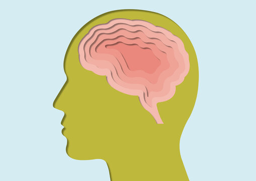 Brain, illustration