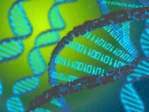 Bioinformatics, conceptual illustration