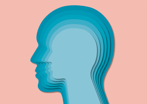 Head, illustration