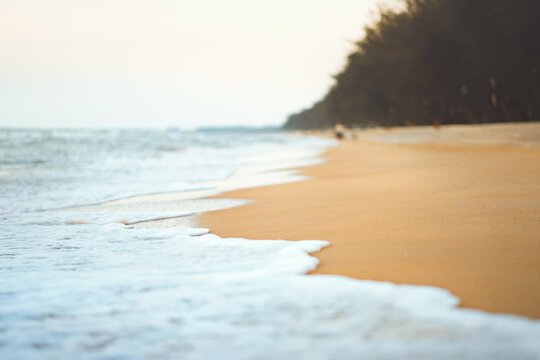 Selective focus of white sea wave foam washing on golden sand beach in evening blur tropical trees background peaceful ocean coast and summer vacation travel concept