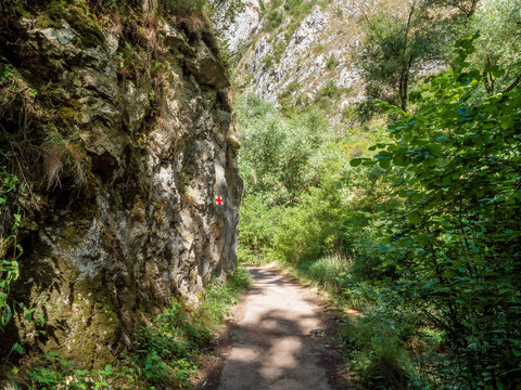 Rocky cliffs and forest landscape in Turda Gorge, Romania