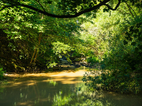 Hasdate river flowing through Turda Gorge canyon in summer