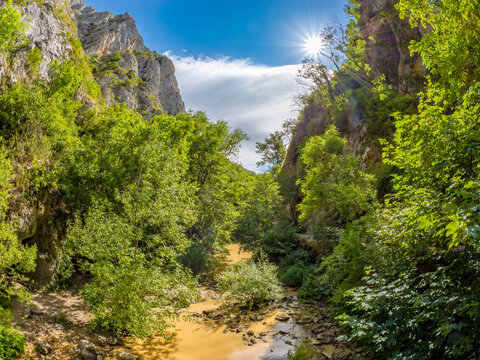Hasdate river flowing through Turda Gorge canyon in summer