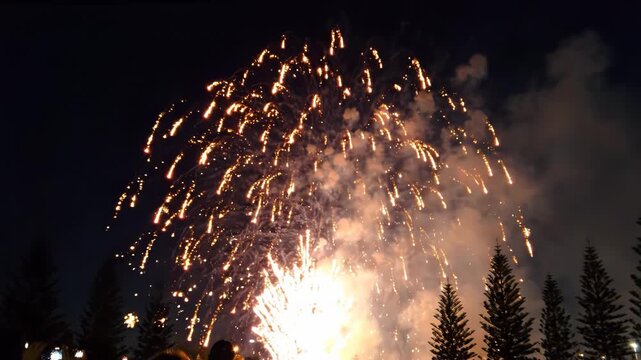 Vibrant orange firework exploding in night sky with pine trees