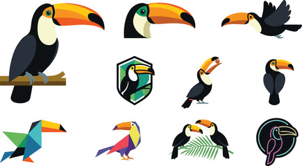 Fototapeta premium Toucan Bird Vector Illustration Collection Featuring Tropical Flying Perching and Geometric Toucans for Wildlife Nature Jungle and Logo Design Projects