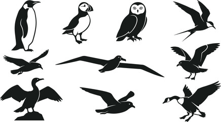 Black Silhouette Seabird and Arctic Bird Vector Collection Featuring Penguin Puffin Owl Flying Gull and Coastal Wildlife Illustration Set for Nature Designs © MstSuborna