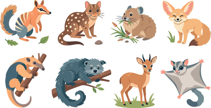 Cute Cartoon Exotic Wild Animals Collection Featuring Numbat Quoll Quokka Fennec Fox Kinkajou Possum Gazelle and Sugar Glider Vector Illustrations