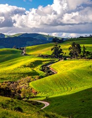 Obraz premium Rolling green hills with winding road under a cloudy sky landscape