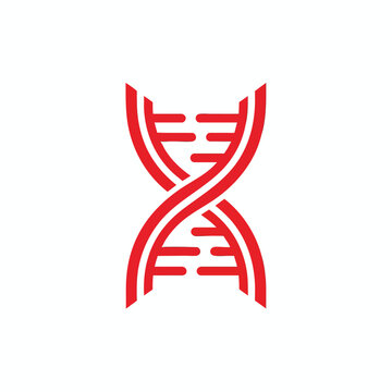 Red DNA double helix icon isolated on white background.