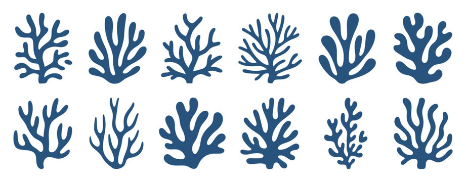 Seaweed Silhouettes and Coral Black Icon Collection Featuring Abstract Ocean Art and Different Types of Coral Design Elements Monochrome Vector Illustration