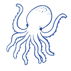 octopus outline sketch © Mommidhi