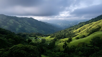 Fototapeta premium A vast expanse of lush rolling green hills covered in dense foliage under a dramatic overcast sky