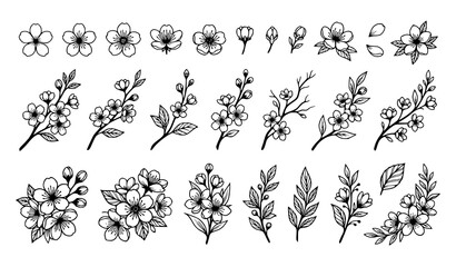 Black and white sakura blossom collection vector floral sketch set © MdMasud