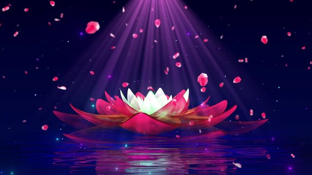 Aesthetic lotus atmosphere with dreamy light and shadow background
