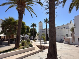 Fototapeta premium Plaza de Santa Catalina with palms and the Iglesia de Santa Catalina, Conil de la Frontera, Costa de la Luz, Andalusia, Spain