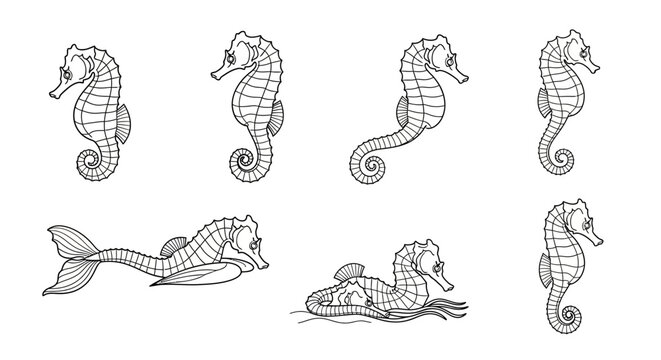 Set of Hand-Drawn Seahorses in Various Poses for Marine Design