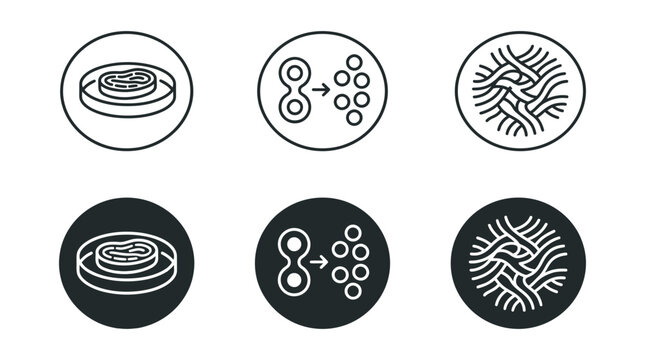 Cell biology cell division and fibrous tissue microscopic graphic icons set with division, replication